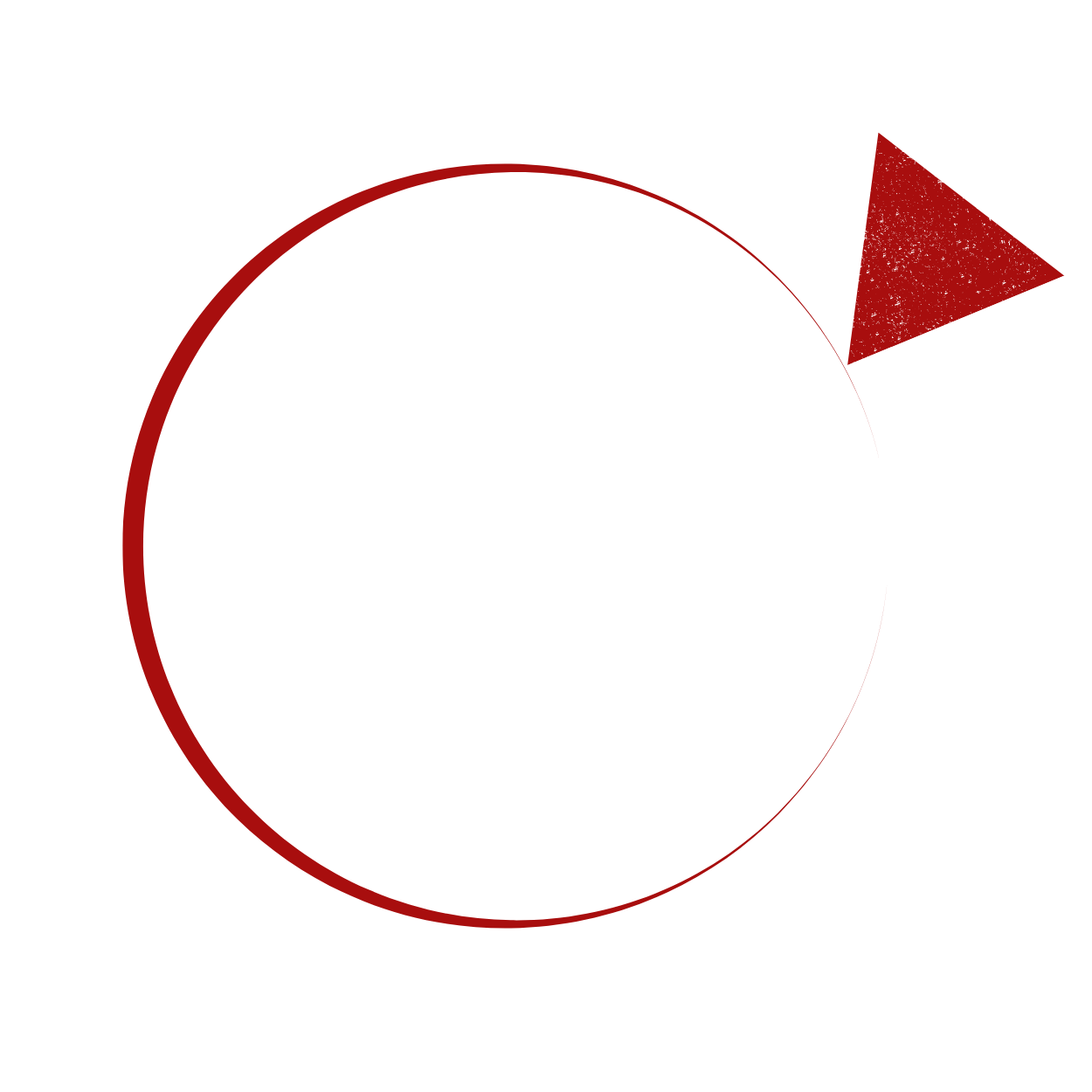 BELA trans